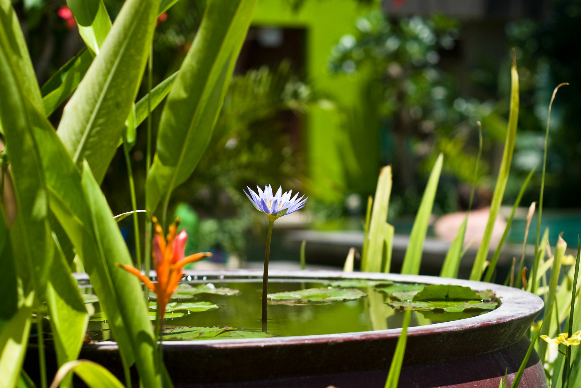 Cicada Luxury Townhouses Seminyak Exterior foto